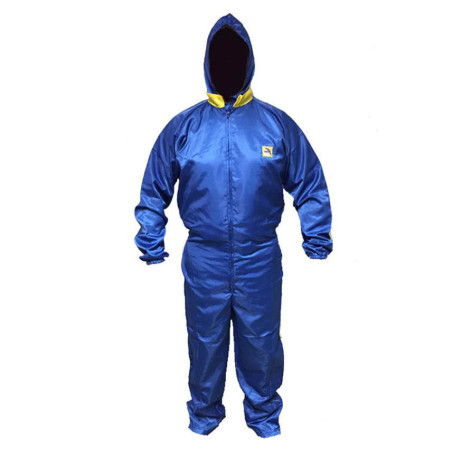 GLASURIT PAINT SUIT