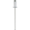 Pan-L-Rivets Dome 1/4" Diameter 1/8" Grip 3/16"-1/4"