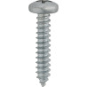 10 x 1" Phillips Pan Head Tapping Screw Zinc
