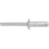 Blind Rivet 1/4" 6.3mm, Steel Rivet & Mandrel
