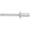 GM Inner Wheelhouse Blind Rivet