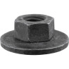 GM M6-1.0 Thread - 19mm Flange General Purpose Nut