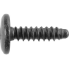 GM Tail Lamp & Interior Trim Torx Button Head Tapping Screw