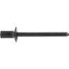 Ford Cab & Exterior Trim Specialty Rivet