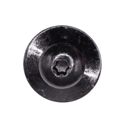 GM Torx, Pan Head Sems Tapping Screw with Dog Point, M4.2-1.41 x 20, 17mm Washer, T15 Drive