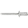 VW Specialty Rivet